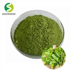 ম্যাচা পাউডার