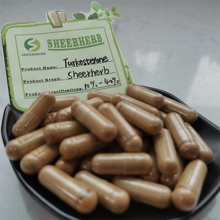 product-750px-1 Nature Pure Ajuga Turkestanica Turkesterone Extract Powder 10% 20% 40% Turkesterone
