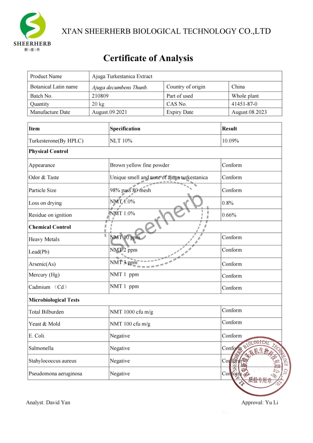 Nature Pure Ajuga Turkestanica Turkesterone Extract Powder 10% 20% 40% Turkesterone