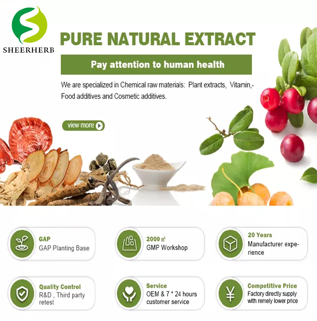 product-1060px-1 Nature Pure Ajuga Turkestanica Turkesterone Extract Powder 10% 20% 40% Turkesterone