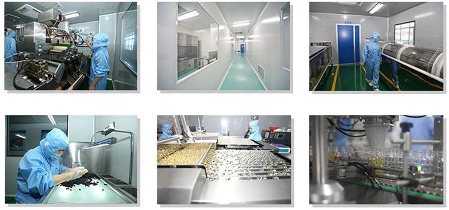 Professional factory