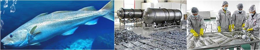 fish collagen tripeptide