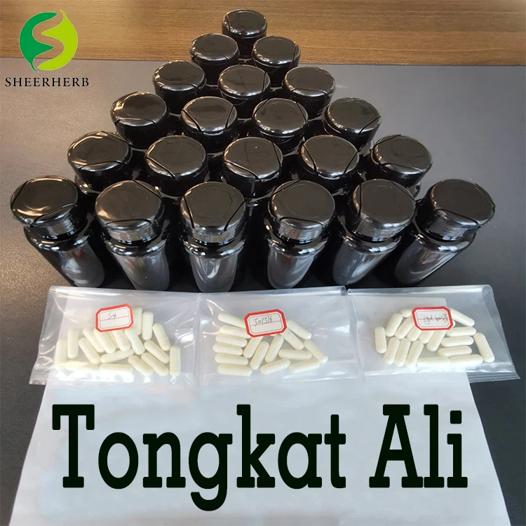 oem organic tongkat ali maca capsule with