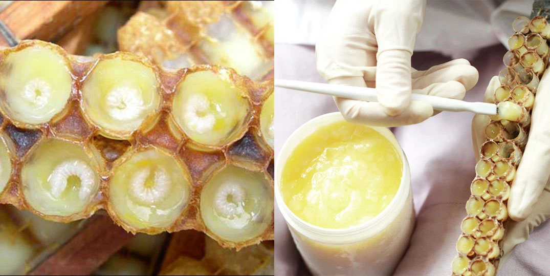 Royal jelly Capsule 6