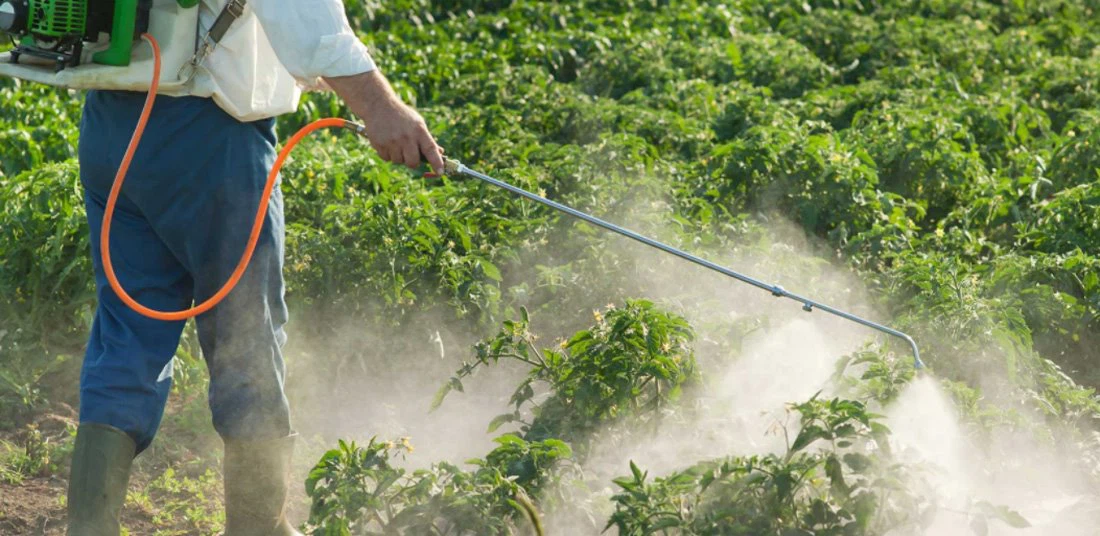 product-1100-536 Pyrethrin 1