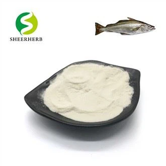 Pure Fish Collagen Powder