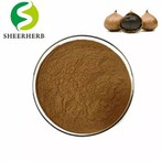 কালো রসুন নির্যাস