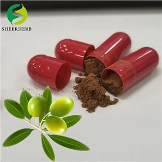 Olive Leaf Extract Powder