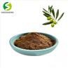 Olive Leaf Extract Powder