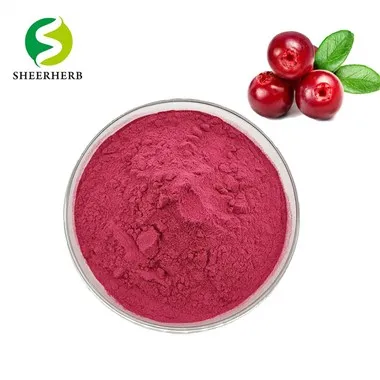 Cranberry Extract Powder