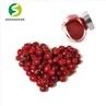 Cranberry Extract Powder